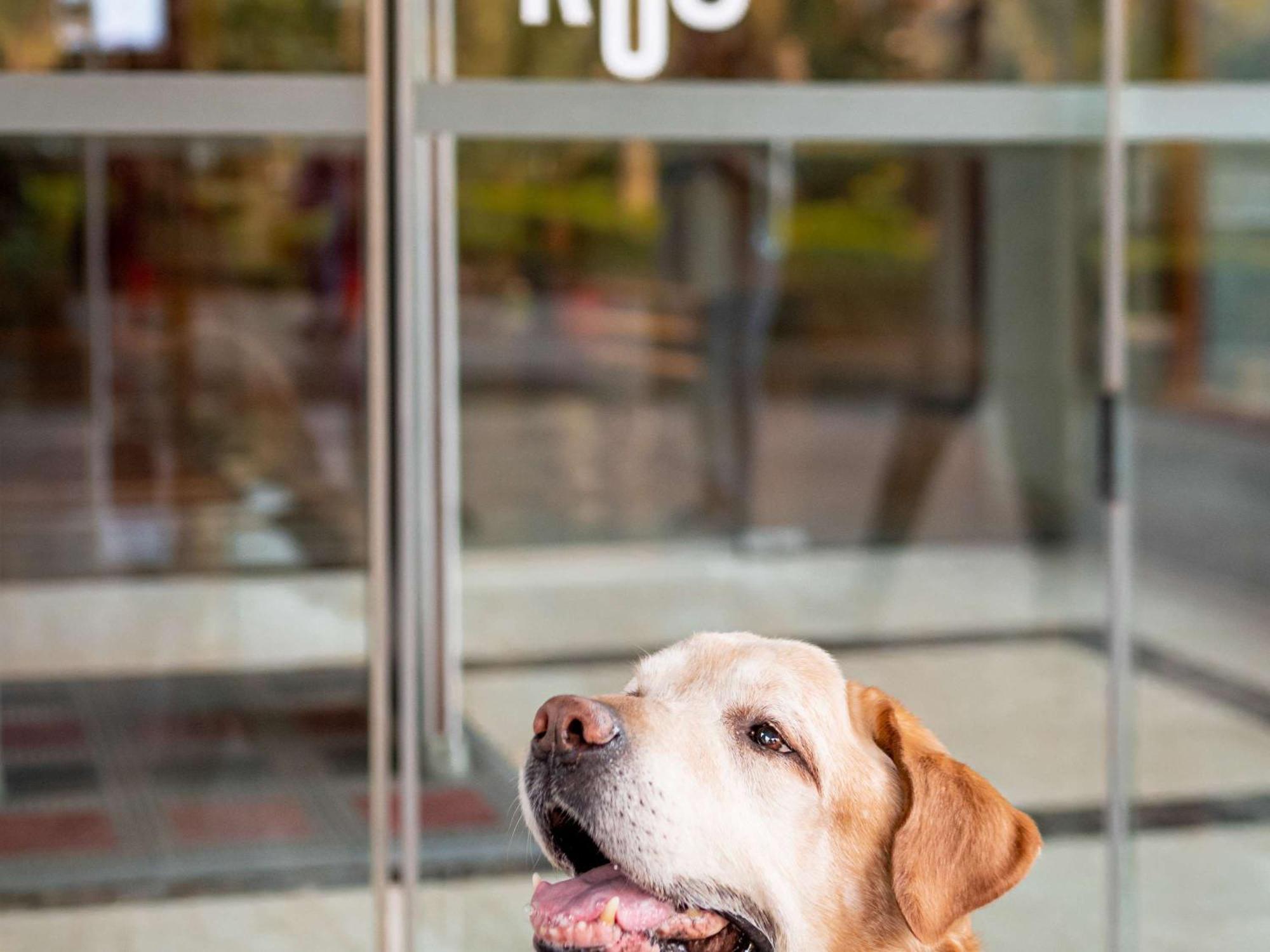 Ibis Madrid Calle Alcala Екстер'єр фото